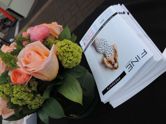 Sunfresh Flowers for Every Occasion